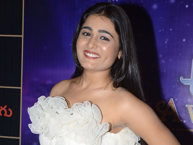 Shalini Pandey at Zee Telugu 2018 Apsara Awards